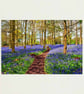 Bluebell Woods Greys Court Oxfordshire UK Photograph Print - Image 3