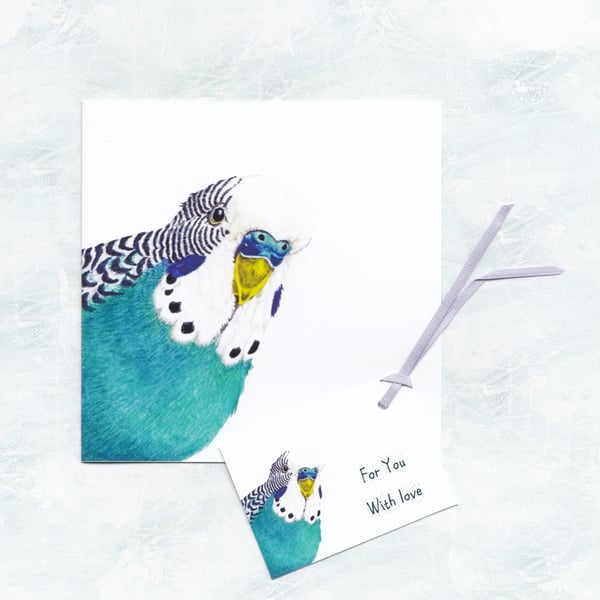 Blue Budgie Card and Gift Tag, Cute Budgie