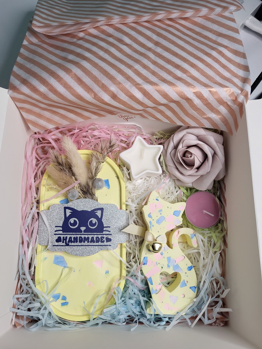 Cute Kitty themed gift box
