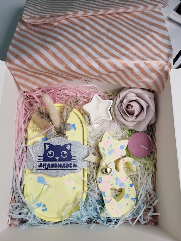 Cute Kitty themed gift box