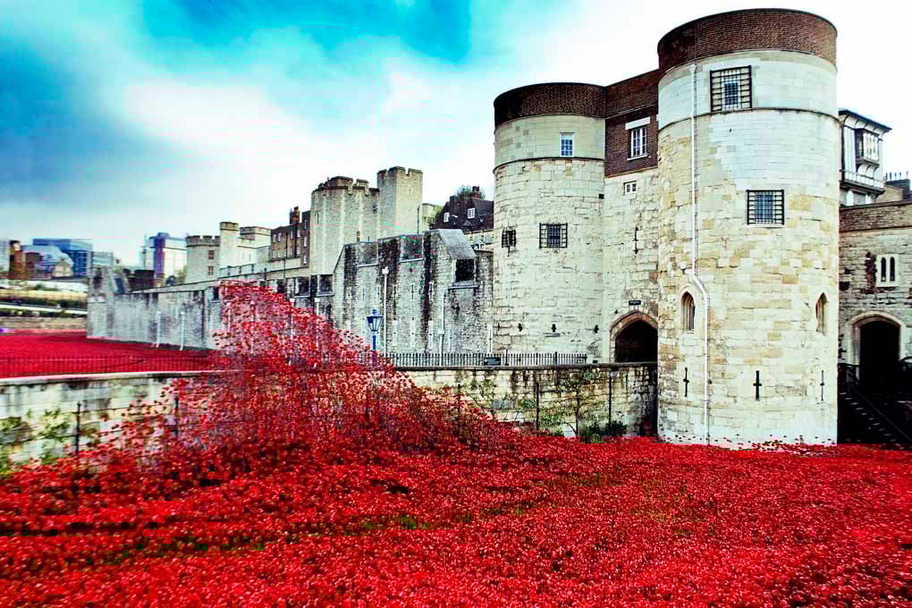 Tower of London Red Poppies England UK 18"x12" Print
