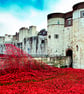 Tower of London Red Poppies England UK 18"x12" Print - Image 1