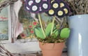 Gift for Gardeners