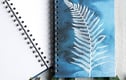 Notebooks