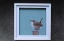 Framed Original Textile Art
