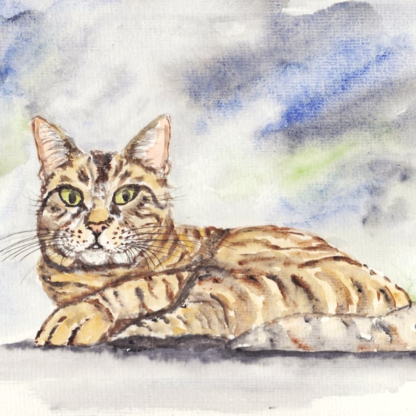 Cute Cat Original Painting 
