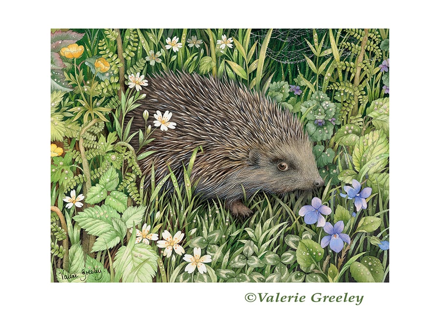 Hedgehog in April