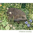 Hedgehog in April