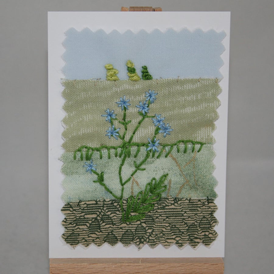Chicory  - ACEO