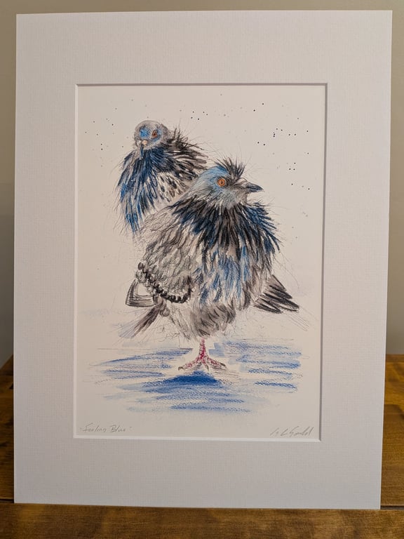 Feeling Blue? (pigeons on a wet February day) , a print of an original painting.