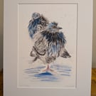 Feeling Blue? (pigeons on a wet February day) , a print of an original painting.