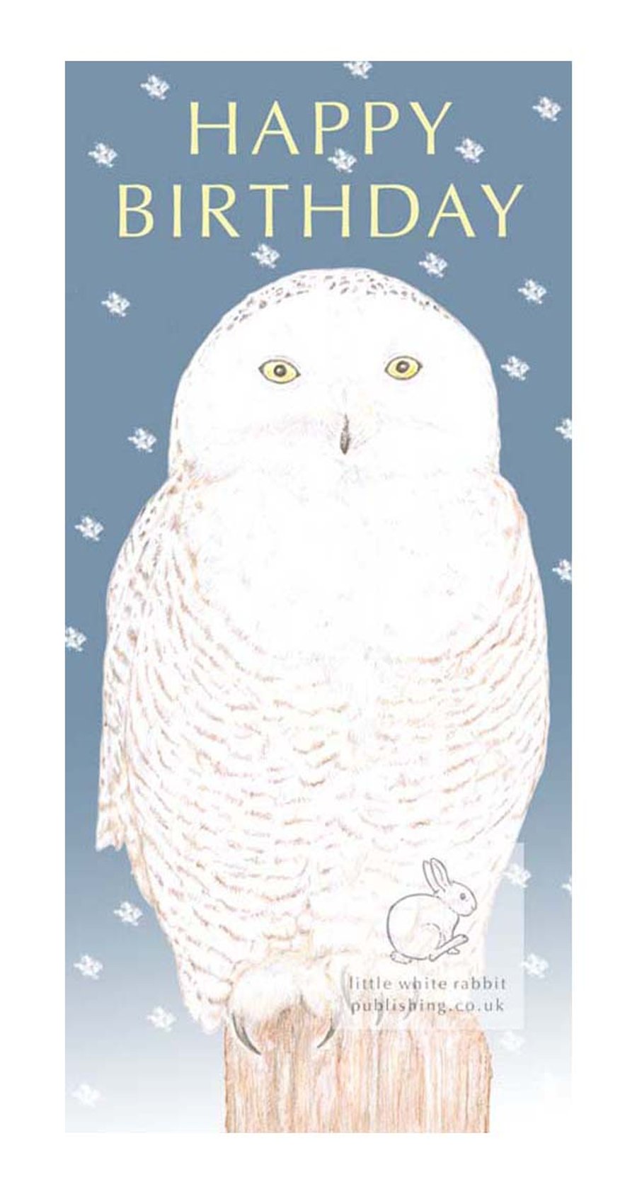 Snowy Owl - Birthday Card
