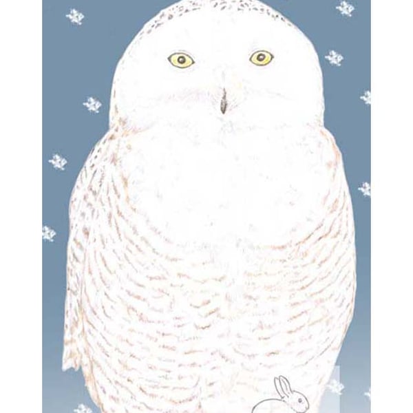 Snowy Owl - Birthday Card