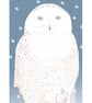 Snowy Owl - Birthday Card - Image 1