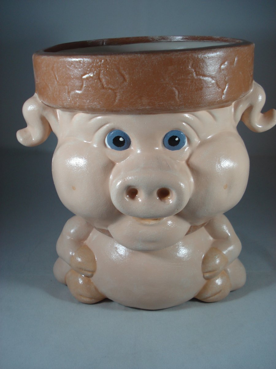 Novelty Ceramic Animal Pig Garden Home Flower Herb Plant Pot Planter Container.