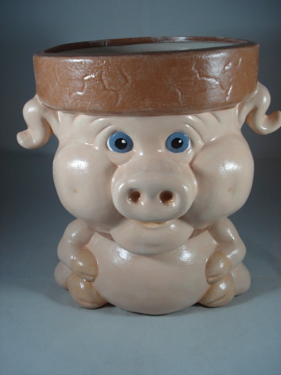 Novelty Ceramic Animal Pig Garden Home Flower Herb Plant Pot Planter Container.