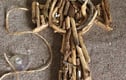 Driftwood ideas