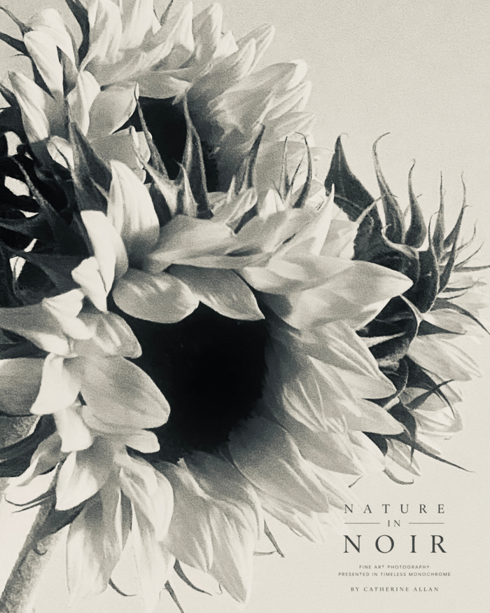 Nature in Noir