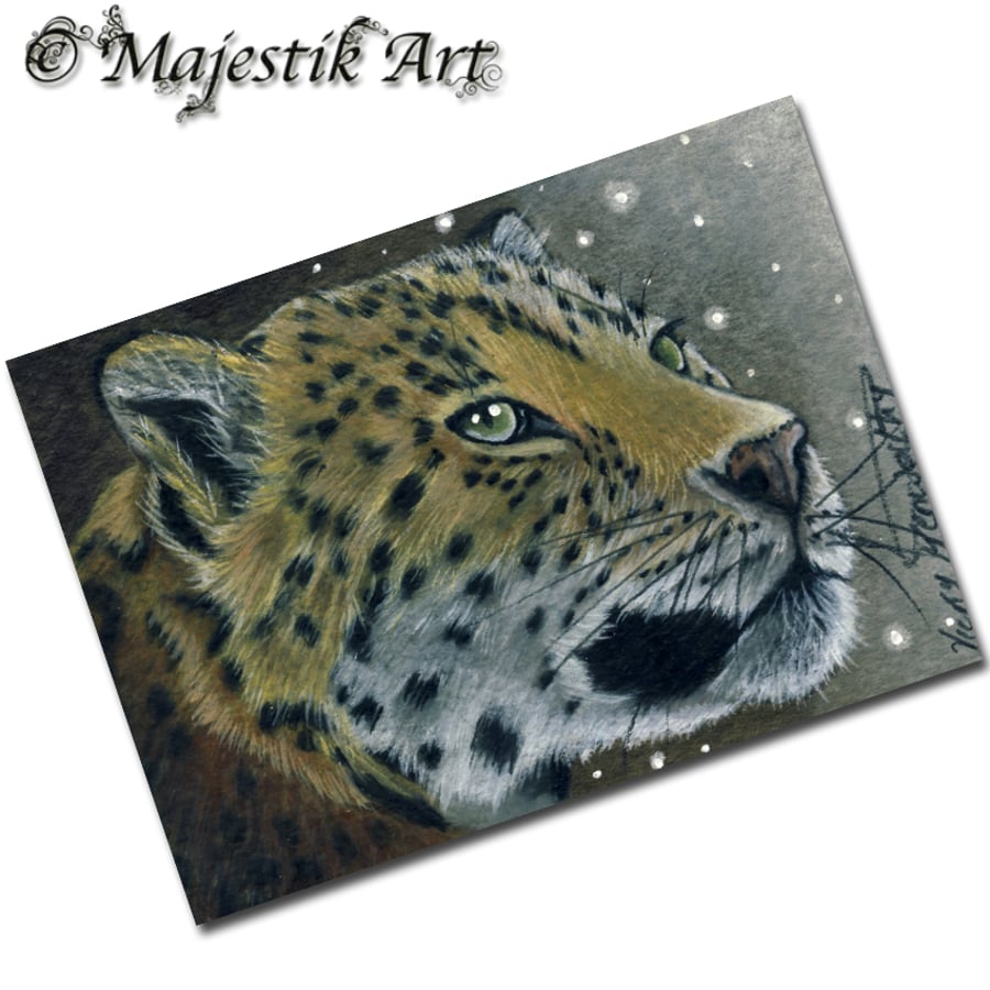 Archival ACEO Snow Leopard Print 'Contemplate' By V Kenworthy
