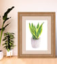 Snake Plant Botanical Art Houseplant Digital Print - Image 3