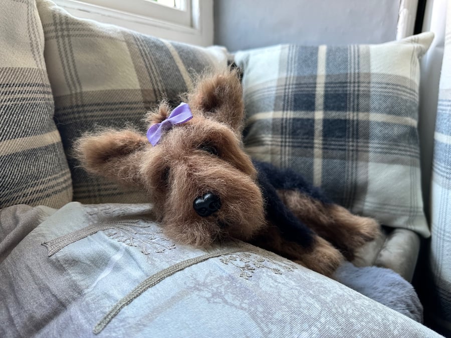 Yorkshire Terrier puppy