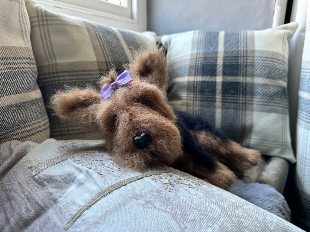 Yorkshire Terrier 