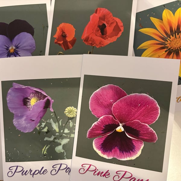 Flowers From The Garden - set of 5 x A6 cards 