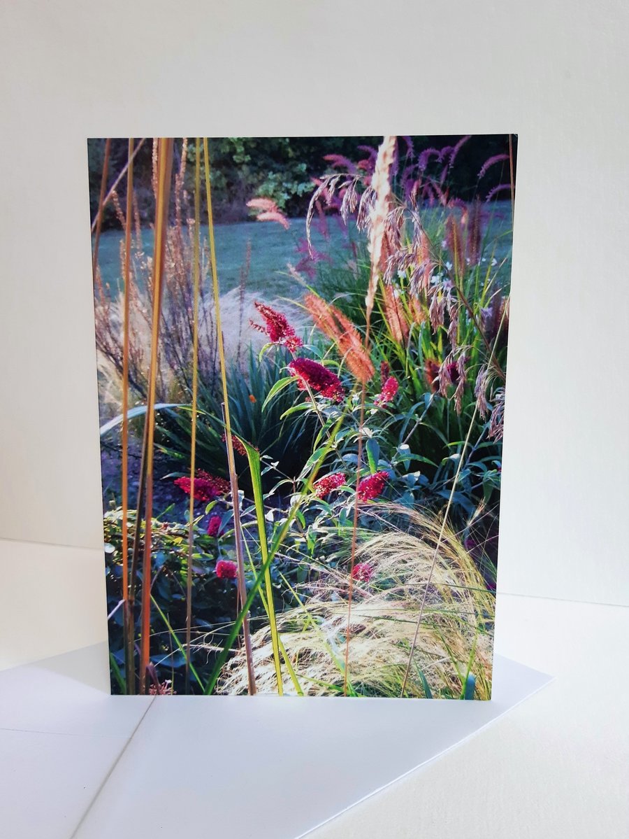 Sunset garden border - greeting card