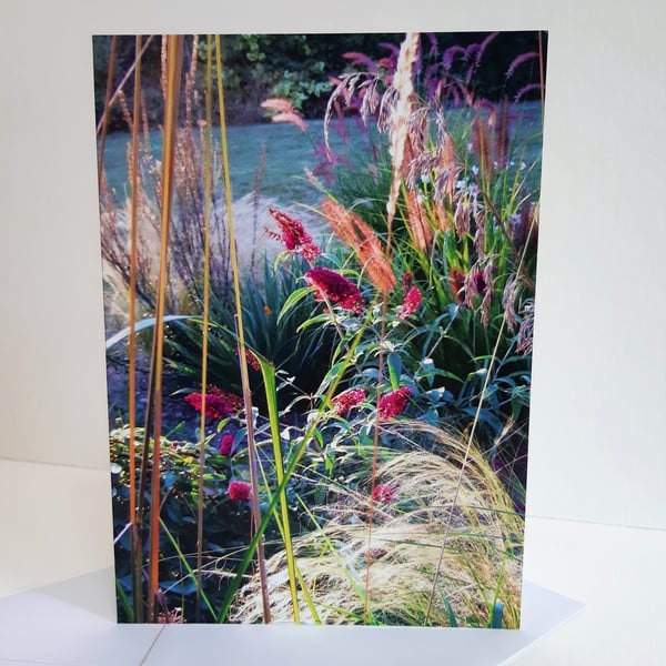 Sunset garden border - greeting card