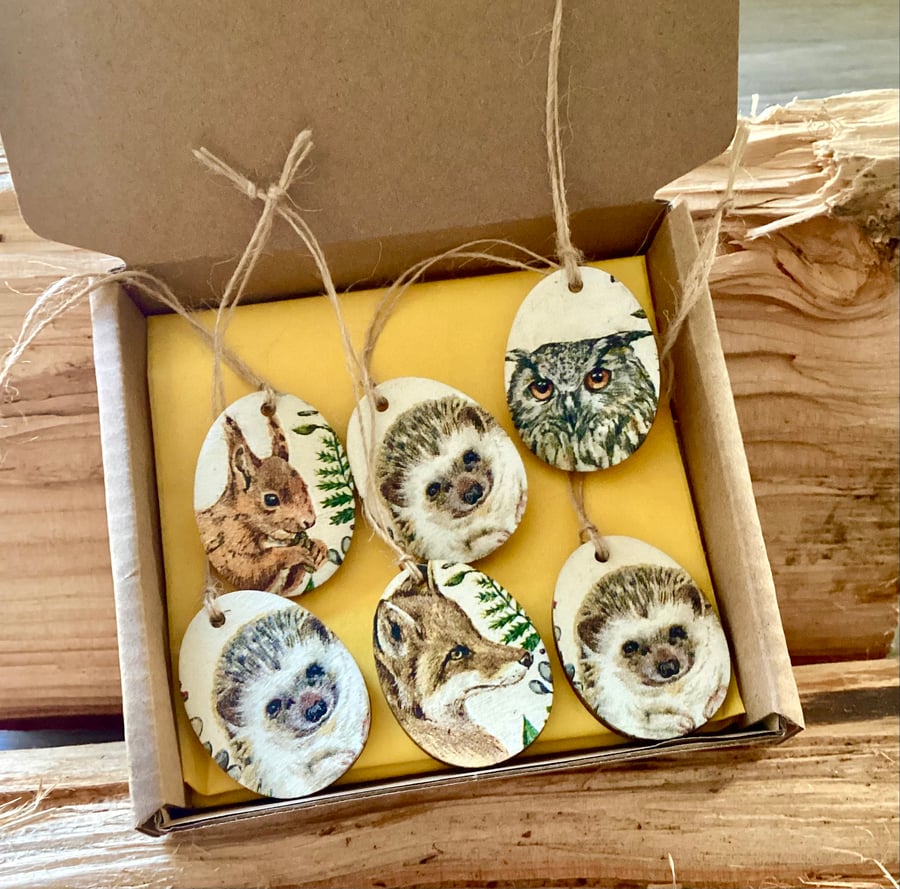 Wooden Mini Eggs Wildlife