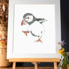 Puffin Art Print 