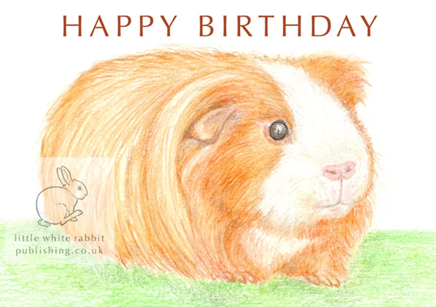 Amber the Guinea Pig - Birthday Card