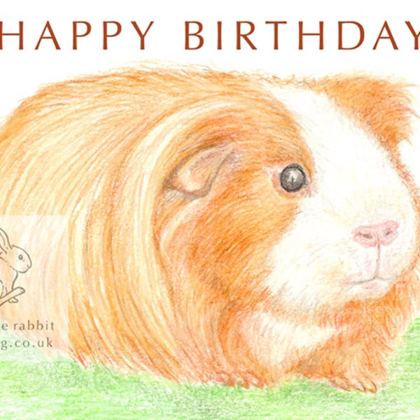 Amber the Guinea Pig - Birthday Card