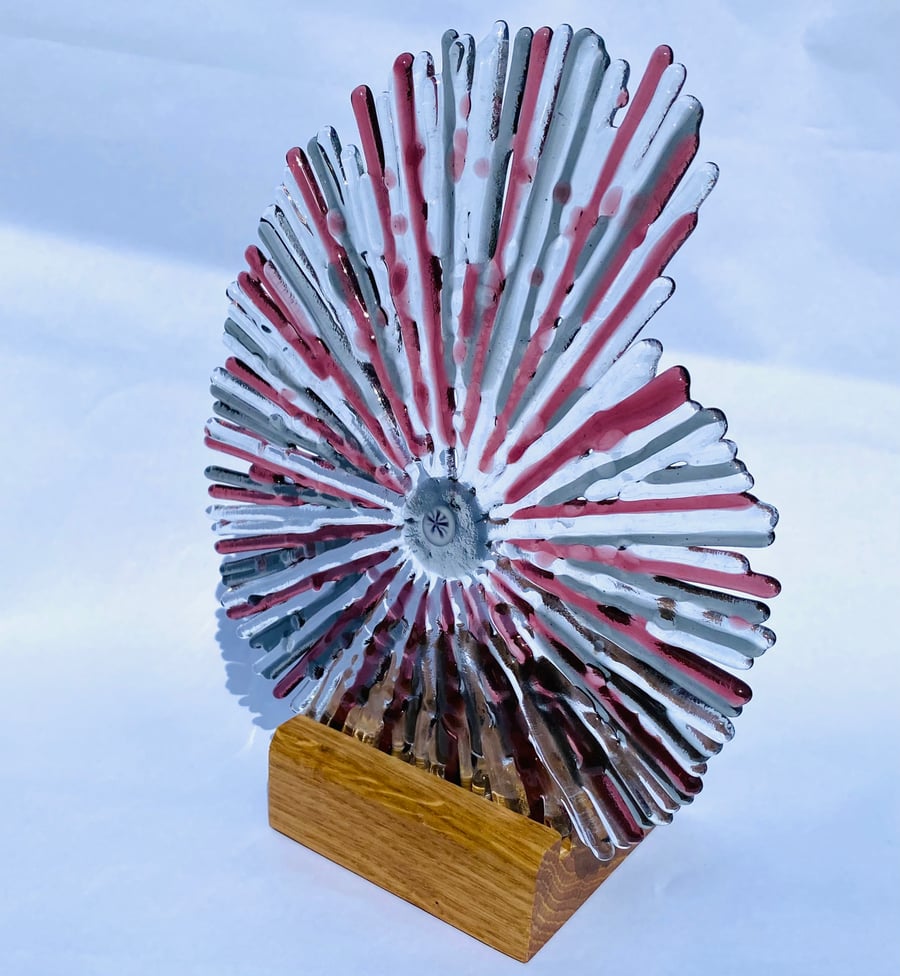 Fused glass ammonite - glass art sculpture