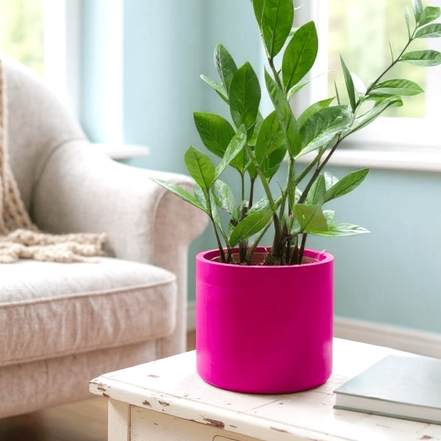 Vibrant Magenta 15cm Round Plant Pot  - Fuchsia Indoor Planter