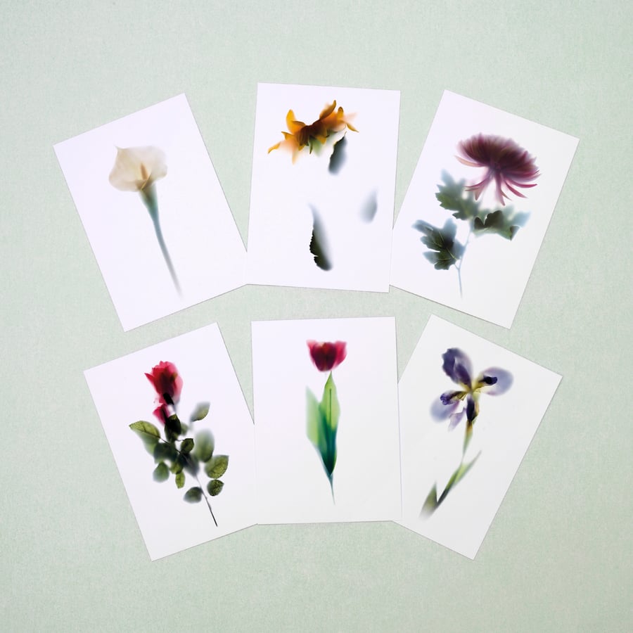 Pack of 6 floral postcard with assorted flowers