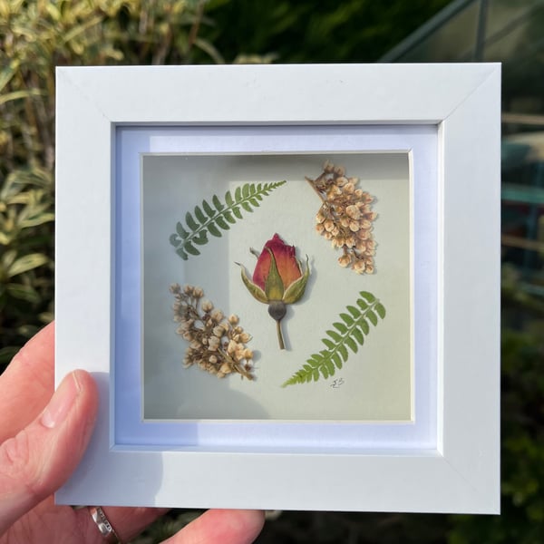 Real Pressed Rose Bud, Framed Art, Mother’s Day, birthday gift