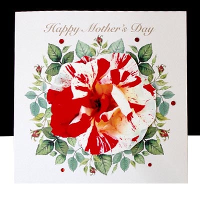 A Mother’s Day- Handmade Strawberry Ripple Rose Card 