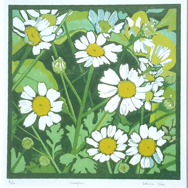 Linocut daisy feverfew print 