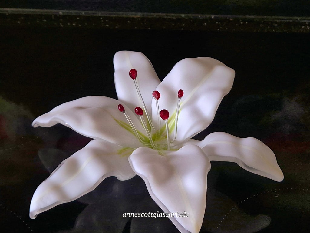 Handmade Fused Glass White Matte Lily 3 of 3 with Wall-mounting Bracket. 