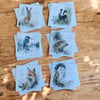 Traditional British Wildlife Christmas Card Set of Six Seasonal Greetings Cards