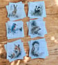 Traditional British Wildlife Christmas Card Set of Six Seasonal Greetings Cards