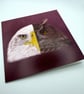 Eagle and Owl Greeting Card – Blank Inside Bird Art Card - Image 2