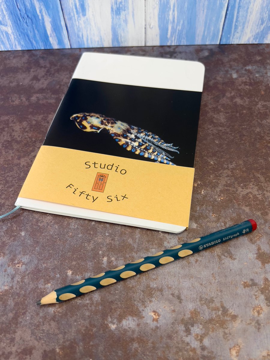 Notebook, Marine themed, A5 (ish), made from up-cycled and recycled materials.