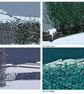 Choose your own festive cards - Image 5