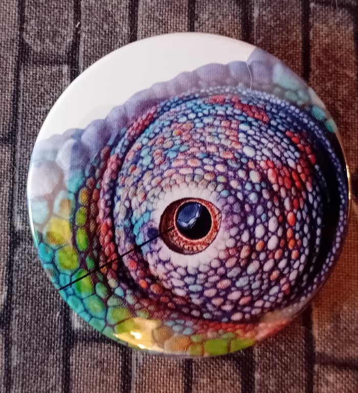 Picture Book  Badge - Iguana Eye