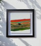 Northumberland hills - Summer days  - Image 5