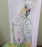 Pop up handmade card parrot - Image 1