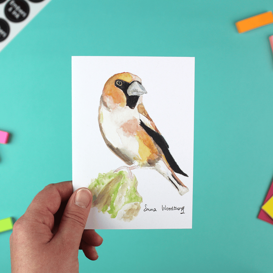 Hawfinch Greetins Card - A6 Blank Inside