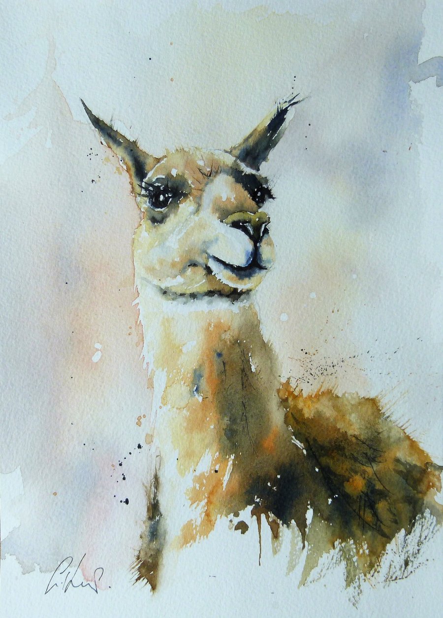 Llama, Original Watercolour Painting.